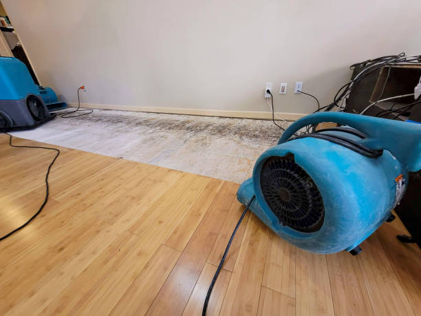 Professional Water Damage Repair technician working in Kingston, PA